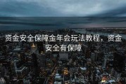 资金安全保障金年会玩法教程，资金安全有保障