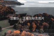 活塞队，活塞队标志图片