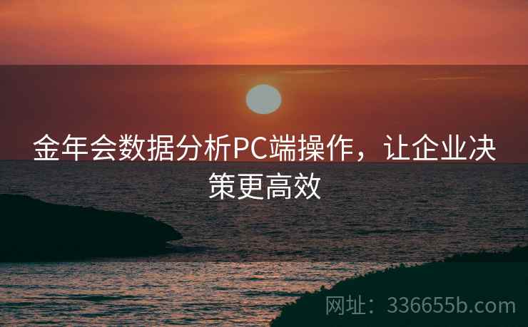 金年会数据分析PC端操作,让企业决策更高效 金年会数据分析PC端操作,让企业决策更高效