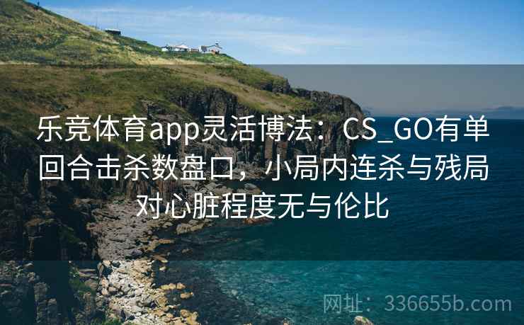 乐竞体育app灵活博法:CS_GO有单回合击杀数盘口,小局内连杀与残局对心脏程度无与伦比 乐竞体育app灵活博法:CS_GO有单回合击杀数盘口,小局内连杀与残局对心脏程度无与伦比