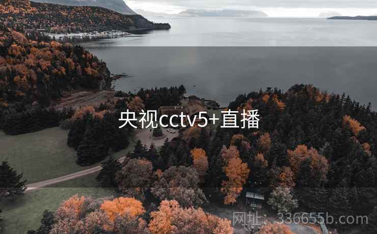 央视cctv5+直播